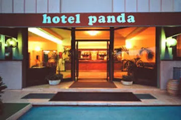 Panda Assisi
